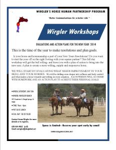 WORKSHOP FLYER NEW YEARS RES. EVALUATIONS