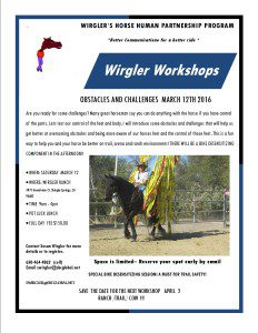 2016 WORKSHOP FLYER OBSTICLES AND CHALLENGES