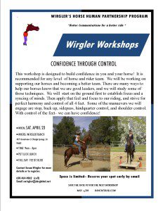 2016WORKSHOP FLYER CONFIDENCE AND CONTROL